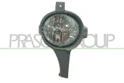Nebelscheinwerfer rechts PRASCO TY8184413