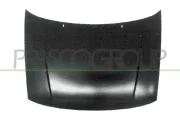 Motorhaube PRASCO VG0163100