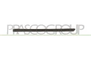 Zier-/Schutzleiste, Tür hinten links PRASCO VG0201454