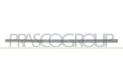 Zier-/Schutzleiste, Tür vorne rechts PRASCO VG0211413
