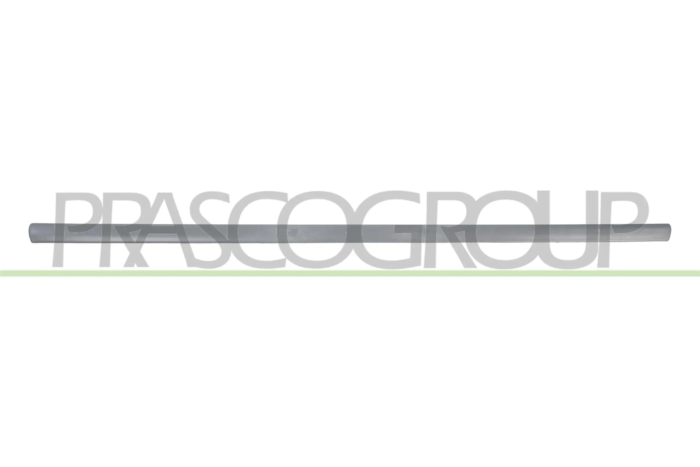 Zier-/Schutzleiste, Tür vorne links PRASCO VG0211414