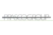 Zier-/Schutzleiste, Tür vorne links PRASCO VG0211414