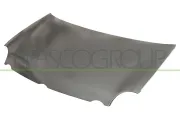 Motorhaube PRASCO VG0213100