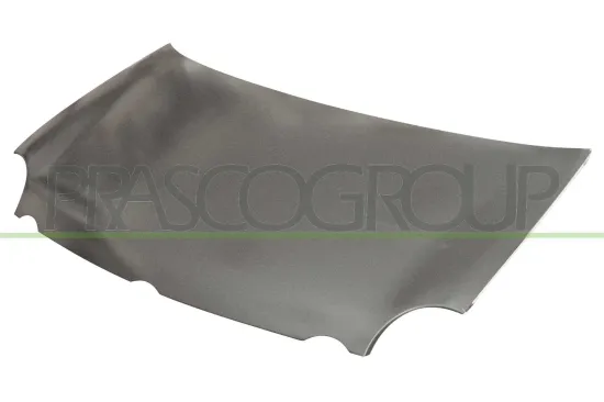 Motorhaube PRASCO VG0213100 Bild Motorhaube PRASCO VG0213100