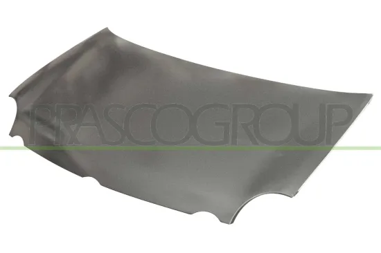 Motorhaube PRASCO VG0213130 Bild Motorhaube PRASCO VG0213130