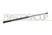Gasfeder, Koffer-/Laderaum hinten links hinten rechts PRASCO VG0219055