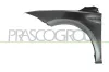 Kotflügel vorne links PRASCO VG0253004