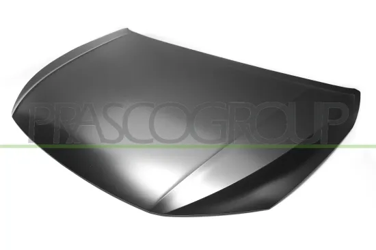 Motorhaube PRASCO VG0253100 Bild Motorhaube PRASCO VG0253100