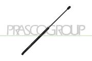 Gasfeder, Koffer-/Laderaum hinten links hinten rechts PRASCO VG0259055