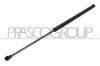 Gasfeder, Koffer-/Laderaum hinten links hinten rechts PRASCO VG0329055