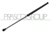 Gasfeder, Koffer-/Laderaum hinten links hinten rechts PRASCO VG0329055