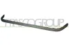 Zier-/Schutzleiste, Sto&szlig;f&auml;nger vorne PRASCO VG0341243