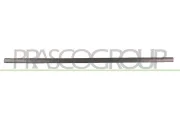 Zier-/Schutzleiste, Tür vorne rechts PRASCO VG0341403