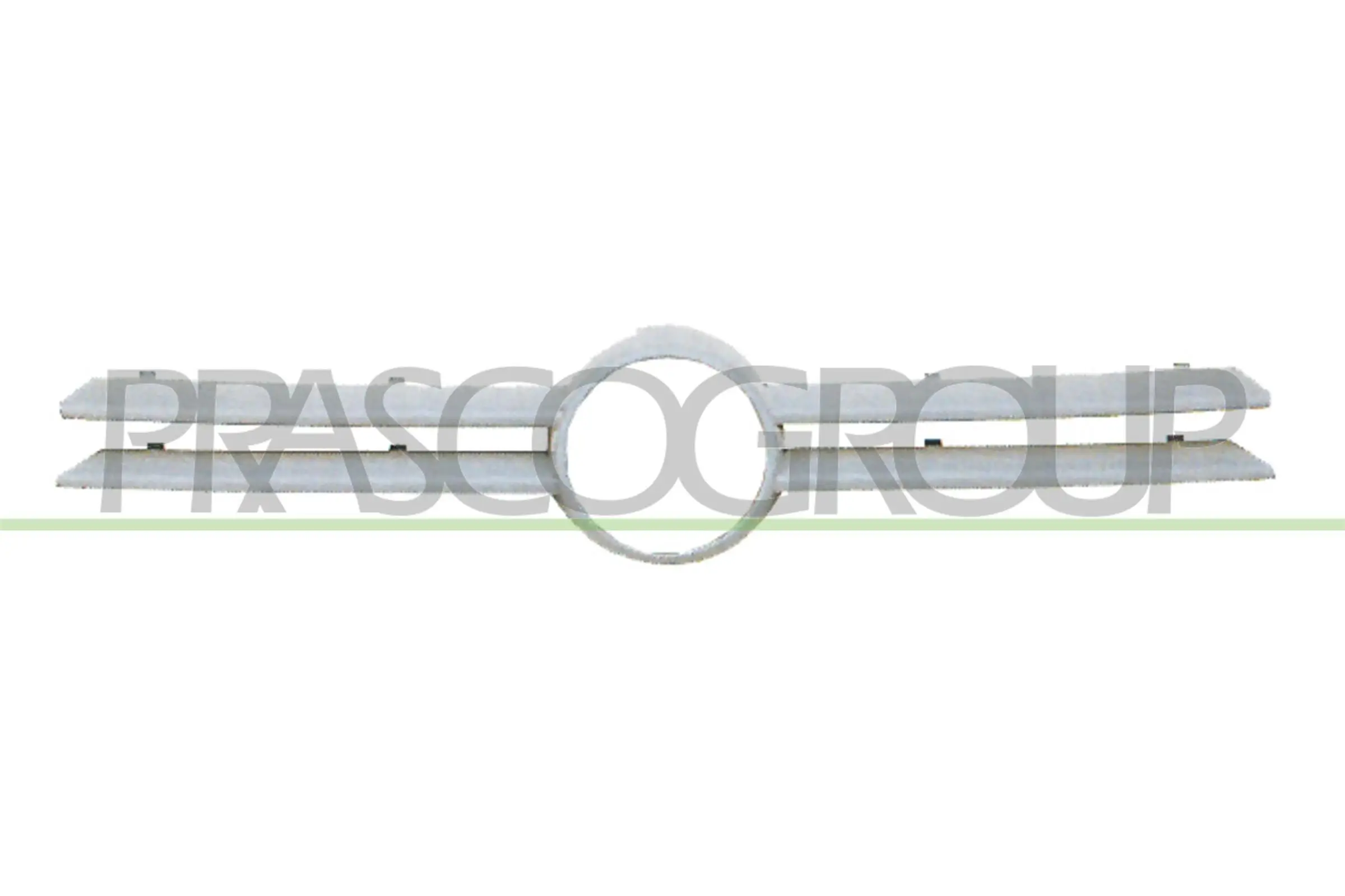 Kühlergitter PRASCO VG0342011