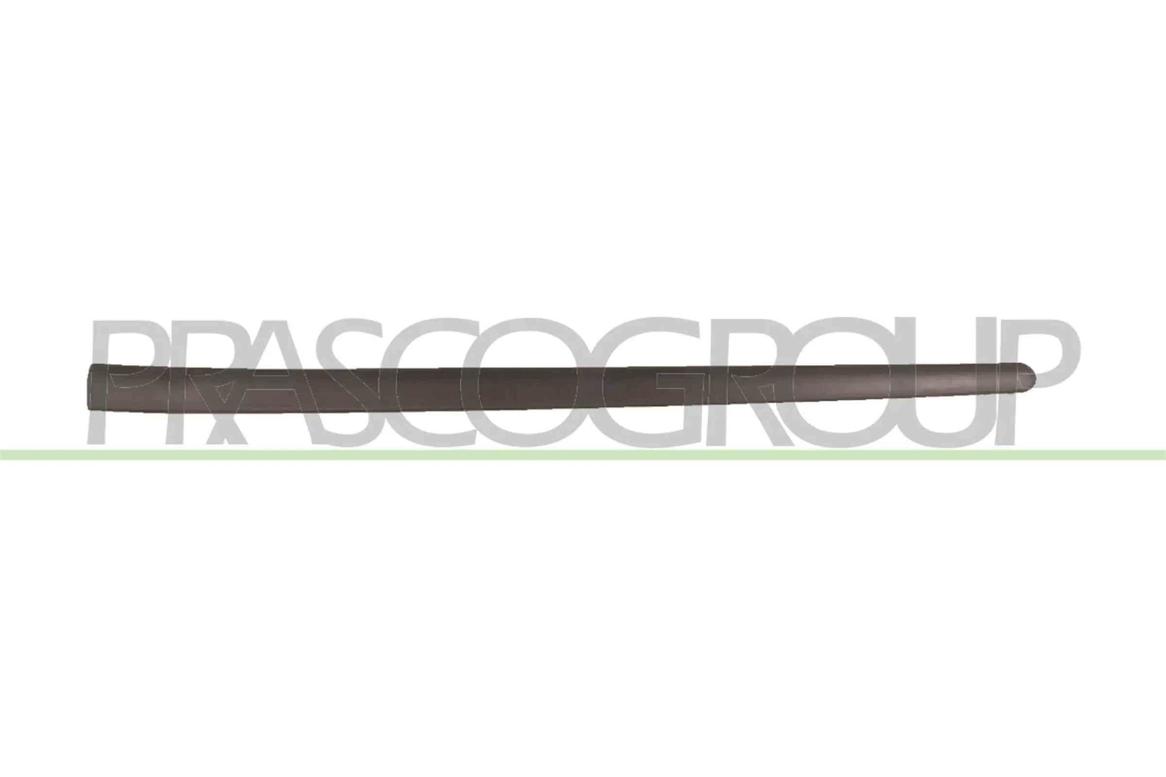 Zier-/Schutzleiste, Tür vorne links PRASCO VG0361404