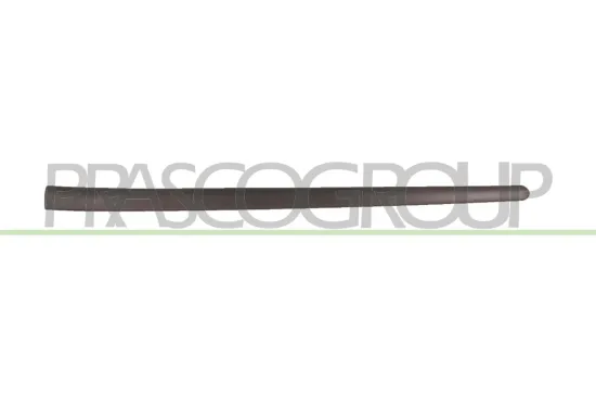Zier-/Schutzleiste, Tür vorne links PRASCO VG0361404 Bild Zier-/Schutzleiste, Tür vorne links PRASCO VG0361404