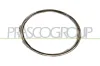 Rahmen, Nebelscheinwerfer links PRASCO VG0381242