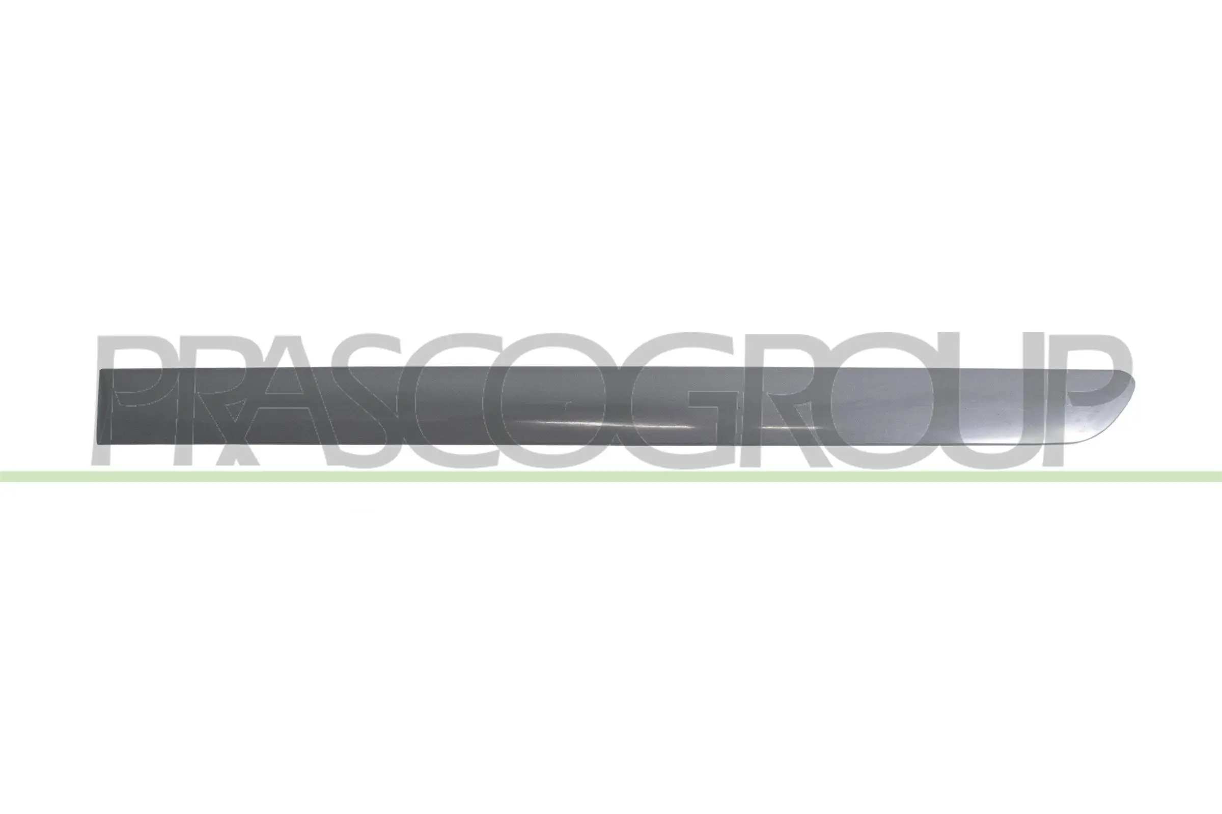 Zier-/Schutzleiste, Tür hinten links PRASCO VG0401464