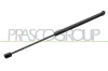 Gasfeder, Koffer-/Laderaum hinten links hinten rechts PRASCO VG0409055
