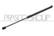 Gasfeder, Koffer-/Laderaum hinten links hinten rechts PRASCO VG0409055