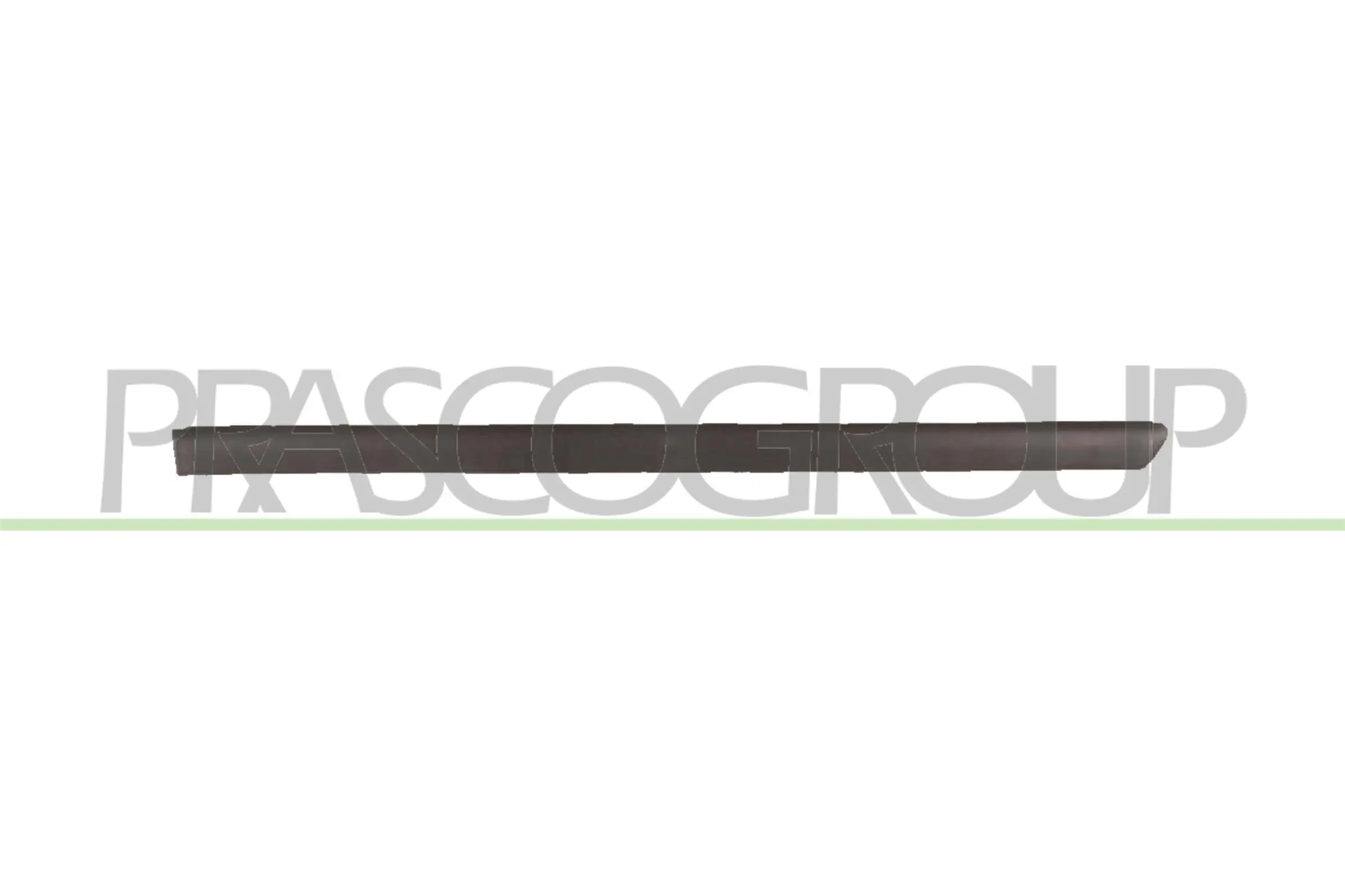 Zier-/Schutzleiste, Tür hinten links PRASCO VG0521454