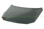 Motorhaube PRASCO VG0543100