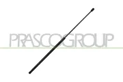 Gasfeder, Motorhaube links rechts PRASCO VG0559001