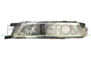 Nebelscheinwerfer rechts PRASCO VG0564423