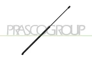 Gasfeder, Motorhaube links rechts PRASCO VG0569001