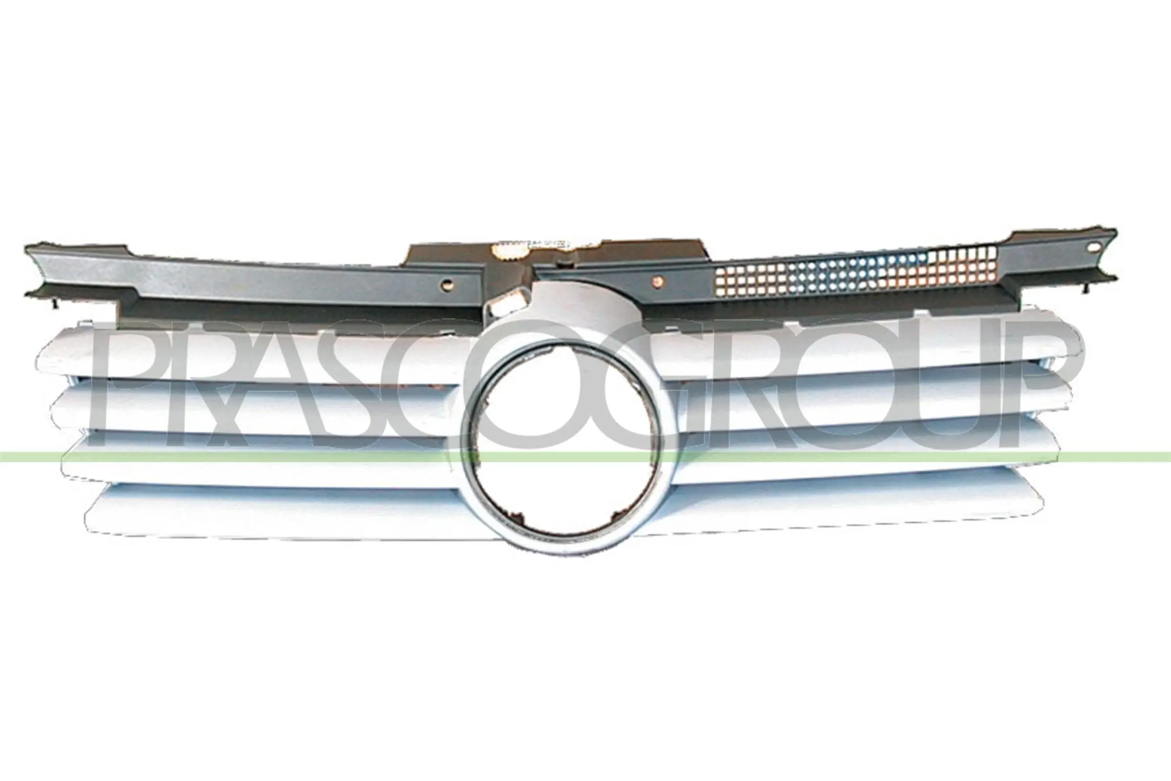 Kühlergitter PRASCO VG0812010