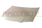 Motorhaube PRASCO VG0813100