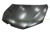 Motorhaube PRASCO VG1013100