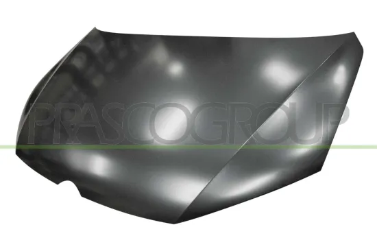 Motorhaube PRASCO VG1013100 Bild Motorhaube PRASCO VG1013100