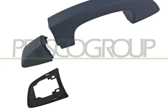 Türaußengriff außen vorne links PRASCO VG1018004 Bild Türaußengriff außen vorne links PRASCO VG1018004