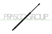 Gasfeder, Koffer-/Laderaum hinten links hinten rechts PRASCO VG1019055