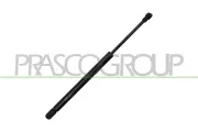Gasfeder, Koffer-/Laderaum hinten links hinten rechts PRASCO VG2019055