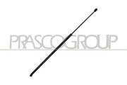 Gasfeder, Motorhaube links rechts PRASCO VG4009001