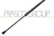 Gasfeder, Koffer-/Laderaum hinten links hinten rechts PRASCO VG4009055