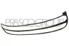 Rahmen, Kühlergitter PRASCO VG4202305