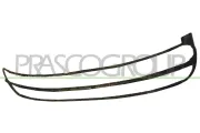 Rahmen, Kühlergitter PRASCO VG4202305