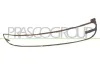 Rahmen, Kühlergitter PRASCO VG4202315