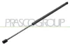 Gasfeder, Koffer-/Laderaum hinten links hinten rechts PRASCO VG4509055