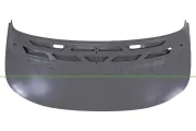 Motorhaube PRASCO VG5503100