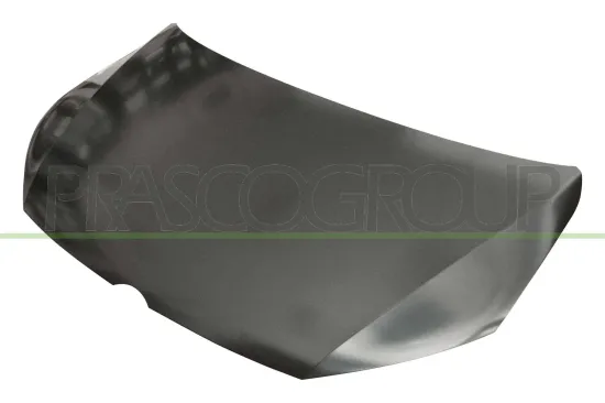 Motorhaube PRASCO VG7193100 Bild Motorhaube PRASCO VG7193100