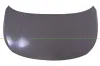 Motorhaube PRASCO VG7603100