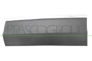 Zier-/Schutzleiste, Tür hinten links PRASCO VG8101464