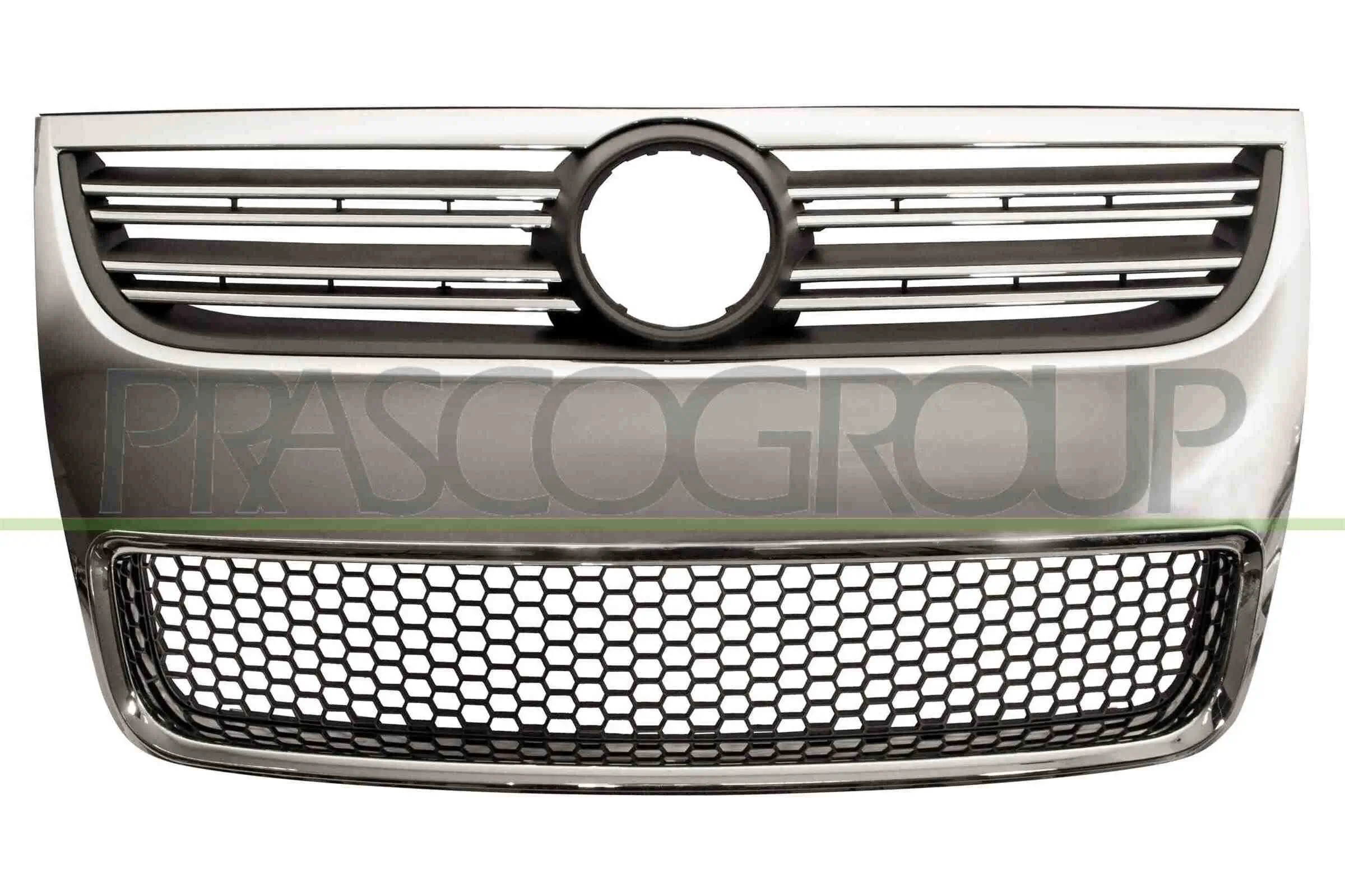 Kühlergitter PRASCO VG8172001