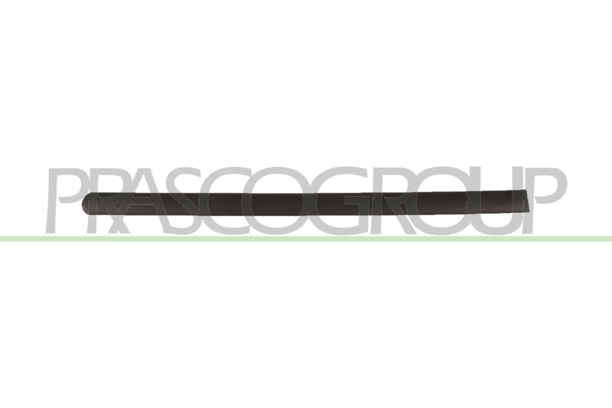 Zier-/Schutzleiste, Tür hinten rechts PRASCO VG9041453