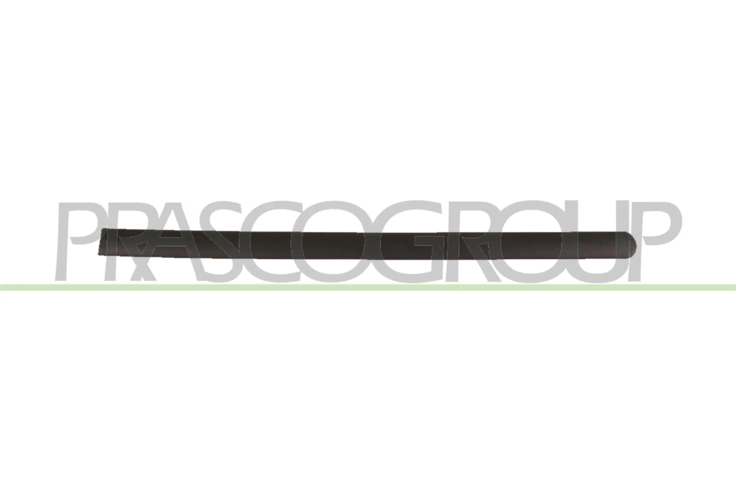 Zier-/Schutzleiste, Tür hinten links PRASCO VG9041454