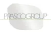 Spiegelglas, Außenspiegel rechts PRASCO VG9077503